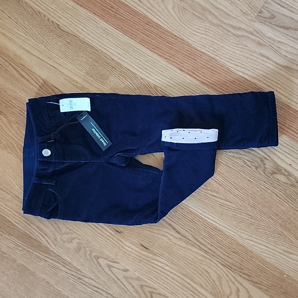 Baby Gap 1969 Blue Corduroy Pink Lined Pants